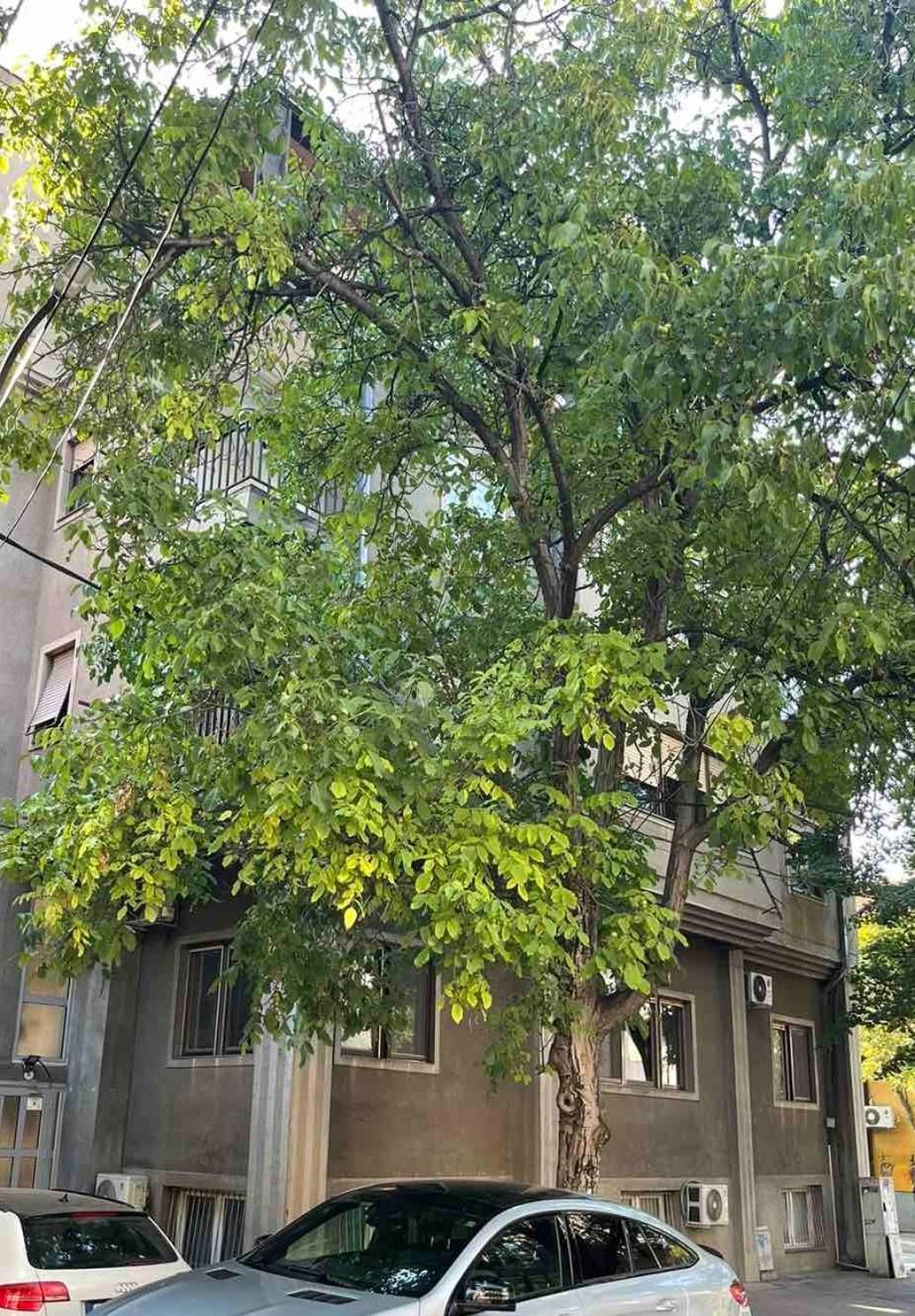 Urban Stay سكوبجي المظهر الخارجي الصورة
